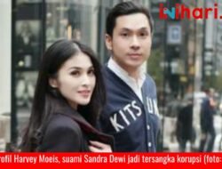 Ini Profil Harvey Moeis Suami Dewi Sandra yang Jadi Tersangka Korupsi Timah