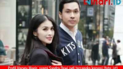 Ini Profil Harvey Moeis Suami Dewi Sandra yang Jadi Tersangka Korupsi Timah