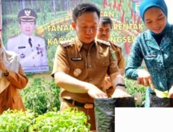 Tekan Inflasi Pemkab Pringsewu Kampanyekan Gerakan Serentak Menanam Cabai