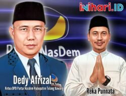 Temui Dedy Afrizal, Reka Punnata Loby Partai Nasdem