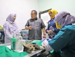 Peringati Hari Dokter Hewan se-Dunia, Gubernur Lampung Arinal Djunaidi Tinjau Kegiatan Vaksinasi Rabies