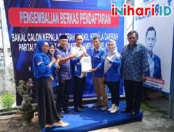 Sekretaris DPC Demokrat Lamsel Suhendra, Daftar Bakal Calon Wakil Bupati