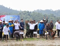 Mentan Andi Amran Sulaiman dan Wakasal Erwin S. Aldedharma Bersama Pj. Gubernur Samsudin Panen Raya Padi dan Jagung di Pantai Caligi, Pesawaran