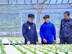 Tinjau Budidaya Pertanian Hydroponic di Pekon Margosari, Pj Bupati Marindo Nyatakan Siap Bantu Petani Kembangkan Pertanian Hydroponic