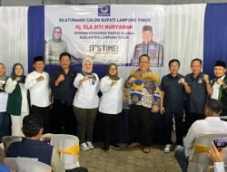 Setelah PDIP, PKS, Gerindra dan Golkar Ela Siti Nuryamah Incar NasDem, Mau Borong Partai?