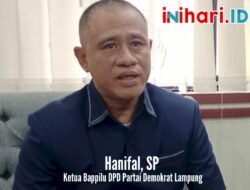 Masalah Rekom Demokrat ke Melinda-Antoni, Begini Kata Ketua Bappilu Demokrat Lampung Hanifal