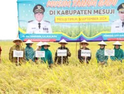 Panen Raya Padi Musim Tanam Gadu di Mesuji, Pj. Gubernur Samsudin Ajak Petani Optimalkan Lahan untuk Tingkatkan Hasil Panen