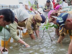 HUT Korps Marinir ke- 79, Pj. Gubernur Samsudin Bersama Jajaran Brigif 4 Mar/BS Golden Tulip Springhill Bandarlampung dan MNC Peduli Tanam 20 Ribu Bibit Mangrove di Marines Eco Park, Padang Cermin, Pesawaran