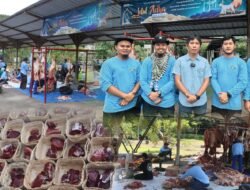 PLN Nusantara Power UP Sebalang Berbagi Kebahagiaan, 1.500 Paket Daging Dibagikan ke Warga Dusun Sekitar PLTU