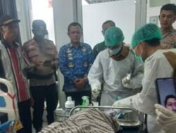Lansia di Tanggamus Tewas Diserang Buaya Saat Mandi di Sungai