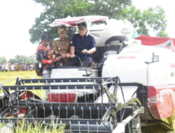 Ketua DPRD Lampung Hadiri Panen Raya Padi Serentak di 14 Provinsi