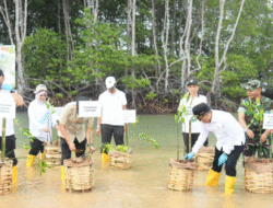 Ketua DPRD Lampung Dukung Aksi Penanaman Mangrove di Pesawaran