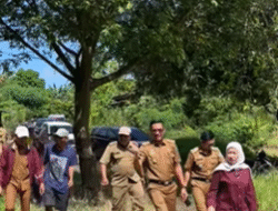 Tinjau Lokasi Banjir di Lampung Selatan, Lesty: Penanganan Tanggul Harus Segera Dikoordinasikan