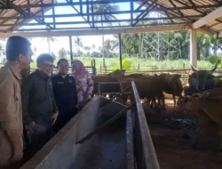 Komisi II DPRD Lampung Dorong UPTD Sidomulyo Jadi Unit Usaha Produktif, Bukan Sekadar Tempat Riset