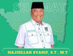 Najiullah Syarif Apresiasi Respons Cepat Wagub Jihan Tangani Kasus Bocah Dirantai di Mesuji
