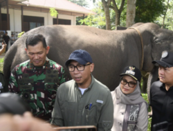 Ketua DPRD Lampung Dukung Atensi Presiden Jadikan Way Kambas Percontohan Nasional