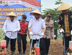 DPRD Lampung Dukung Tanam Raya Jagung Serentak dalam Program Ketahanan Pangan Nasional