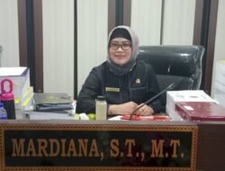 Mardiana Apresiasi Program Promo Tambah Daya Listrik Ramadhan dari PT PLN (Persero)